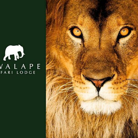 Kwalape Safari Lodge 카사네 외부 사진