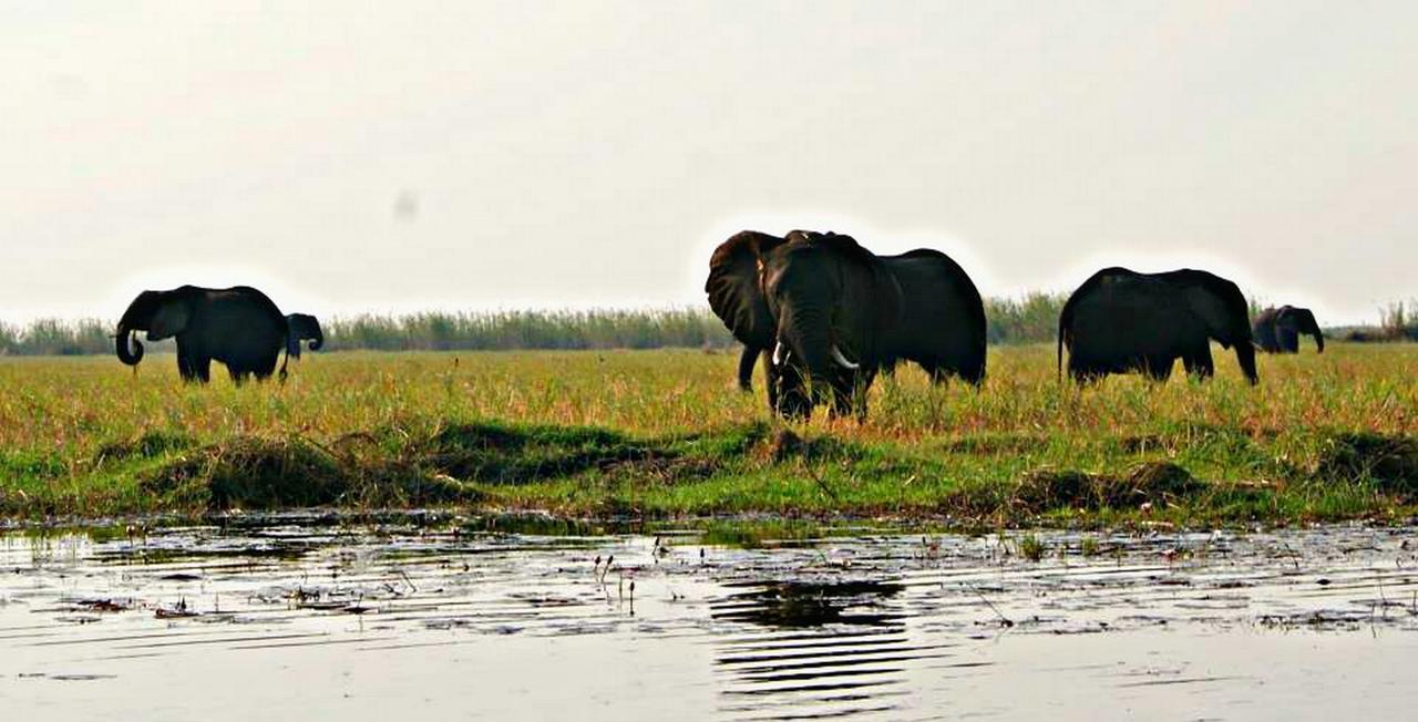 Kwalape Safari Lodge 카사네 외부 사진