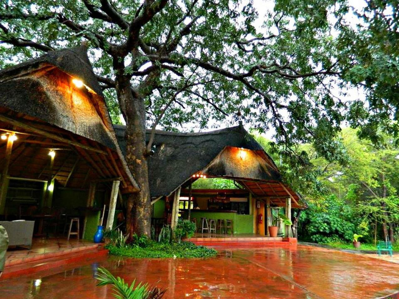 Kwalape Safari Lodge 카사네 외부 사진